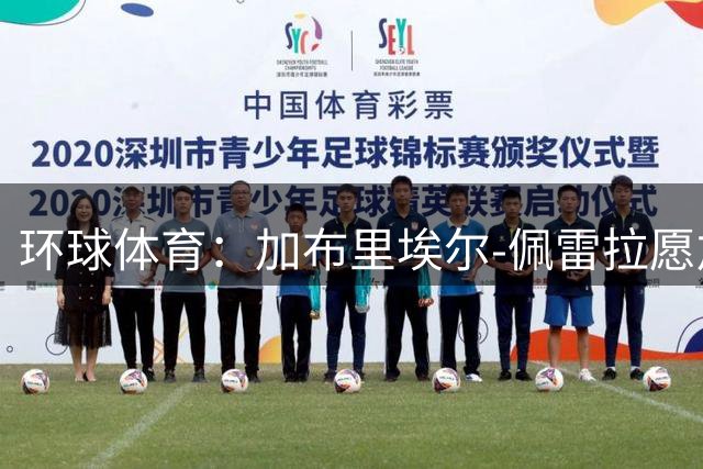 环球体育：加布里埃尔-佩雷拉愿加盟，瓦斯科谈租借买断